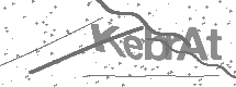 visual captcha